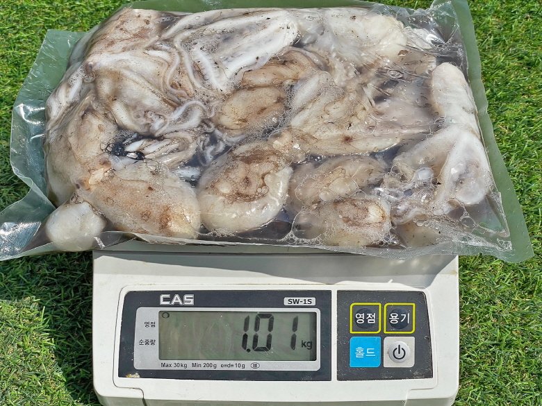 급냉 탱탱 알주꾸미 1kg