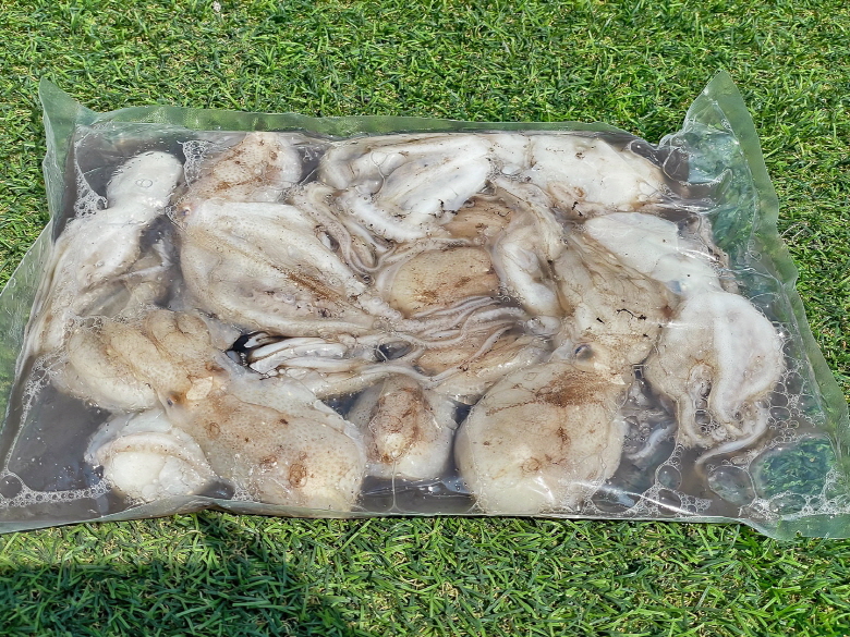 급냉 탱탱 알주꾸미 1kg