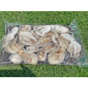 급냉 탱탱 알주꾸미 1kg