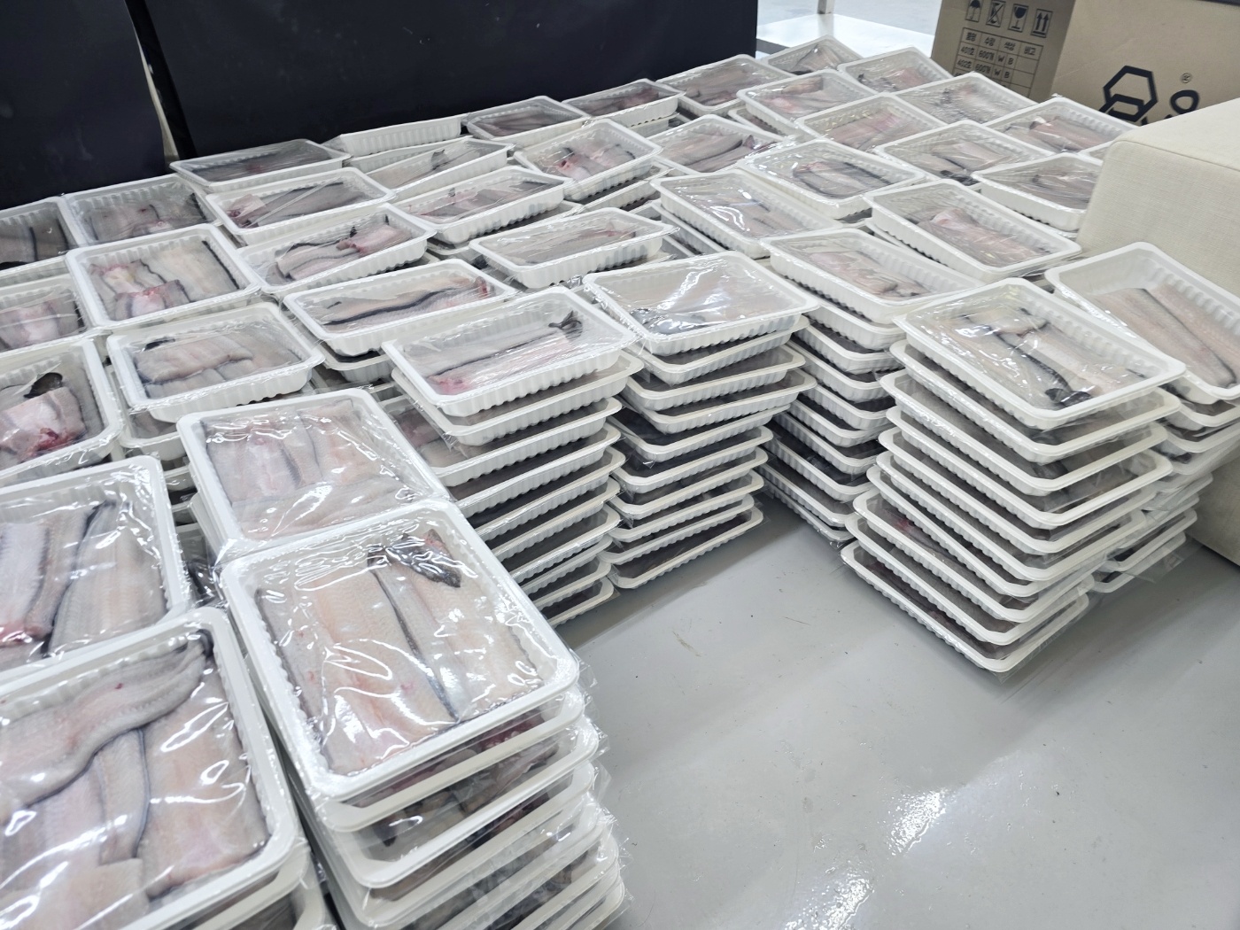 국내산 풍천민물장어 순살500g 소스2종(데리야끼+매운) ,초생강1개