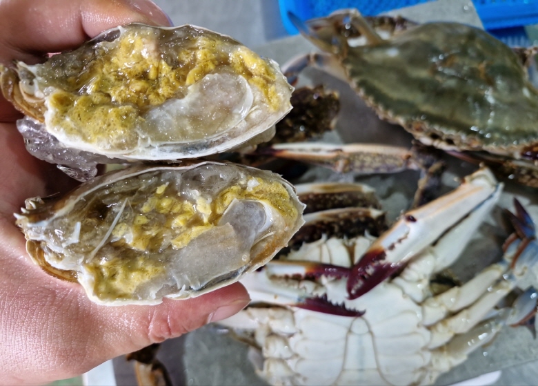 연안 활 대숫게 1kg
