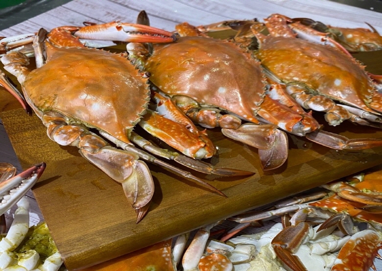 연안 활 대숫게 1kg