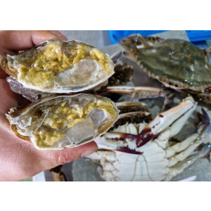 연안 활 대숫게 1kg