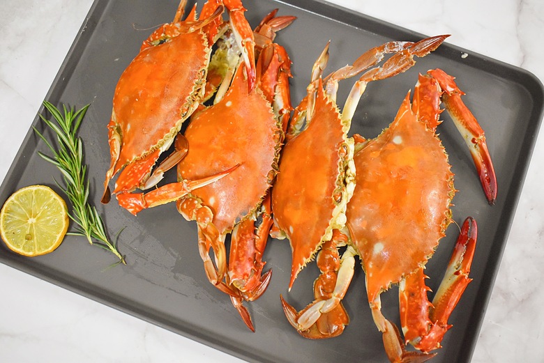 연안 활 숫게 1kg