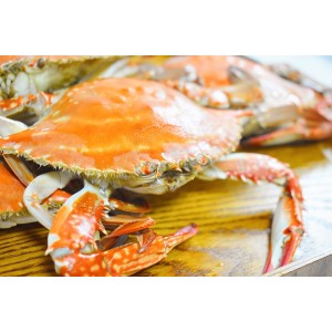 연안 활 소암게 1kg