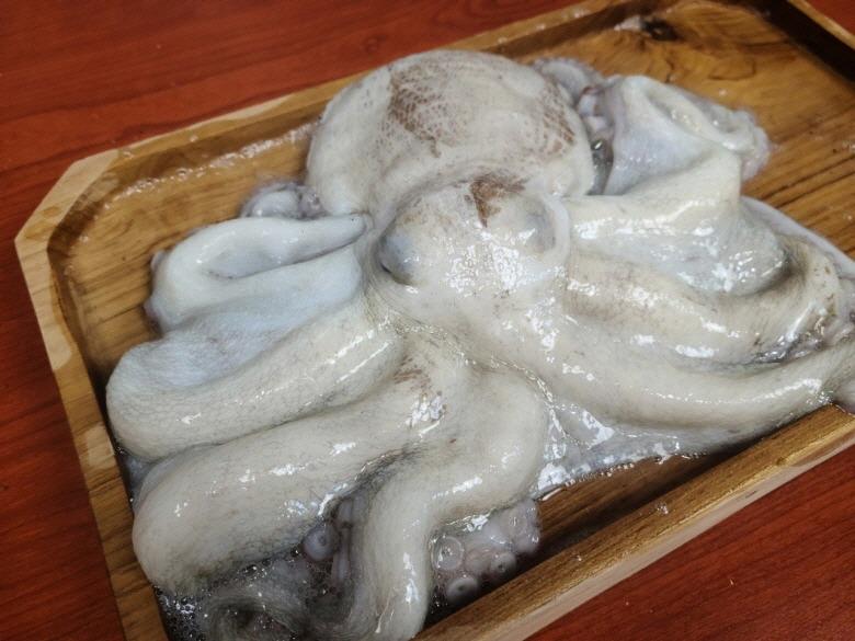 연안 1미대문어 1kg