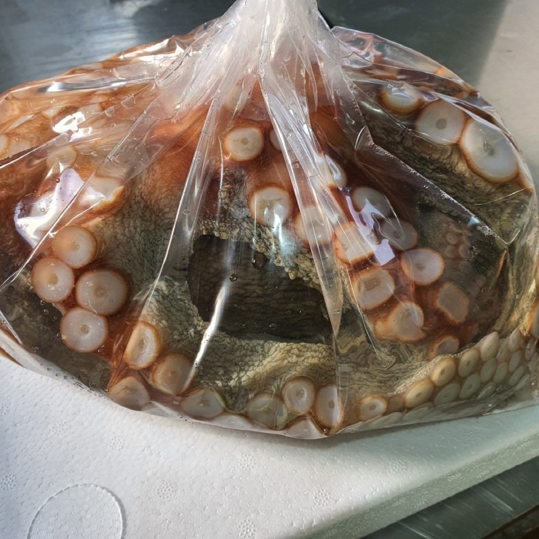 연안 대마왕문어 2kg