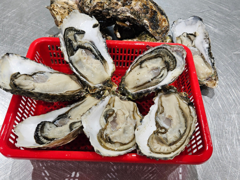 통통 삼배체 굴 1kg