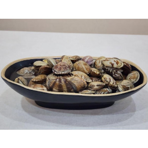 큼직 바지락 1kg