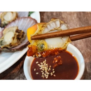 큼직 비단가리비 1kg