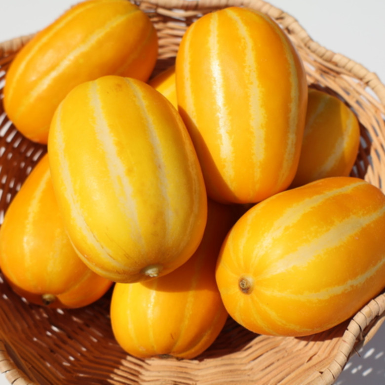 성주참외 랜덤과 10kg