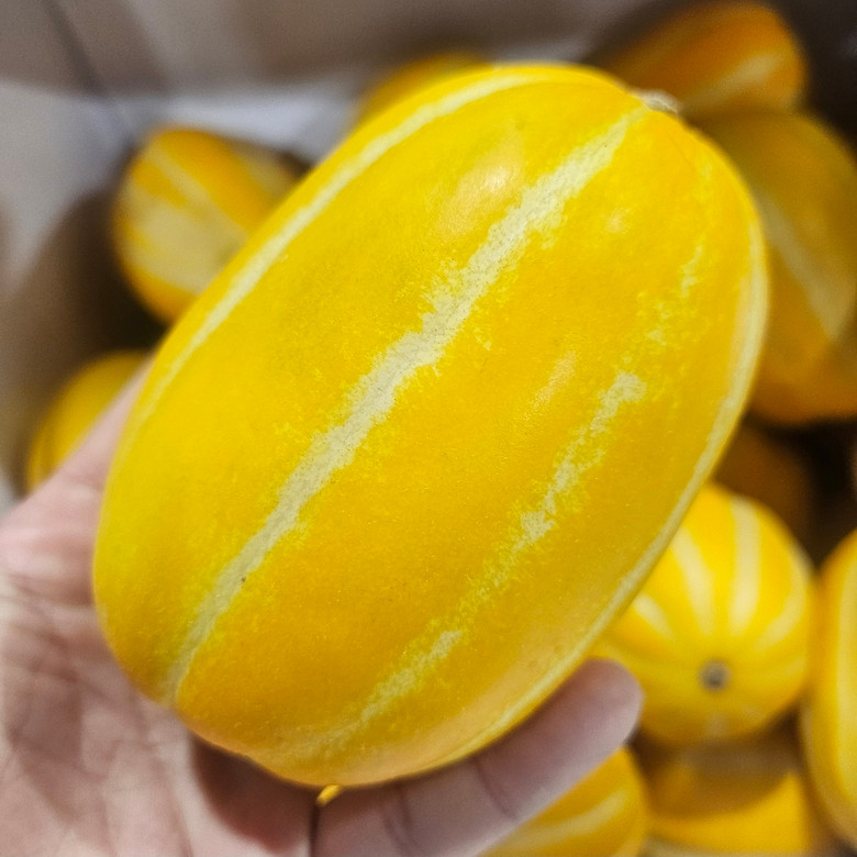 성주참외 랜덤과 5kg
