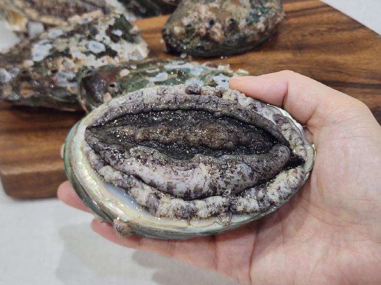임금님 5-6미 전복 2kg