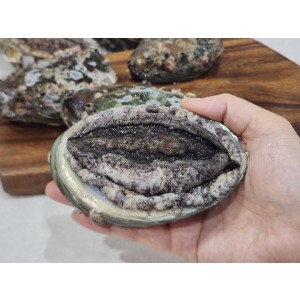 임금님 5-6미 전복 2kg