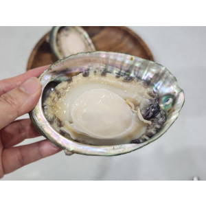 초특대 7-8미 전복 1kg