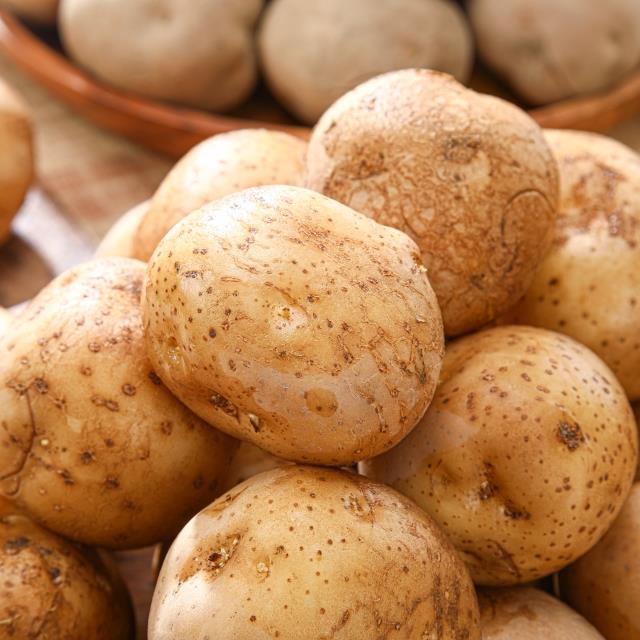 26년 수확! 포슬포슬🥔 보성 햇 수미감자