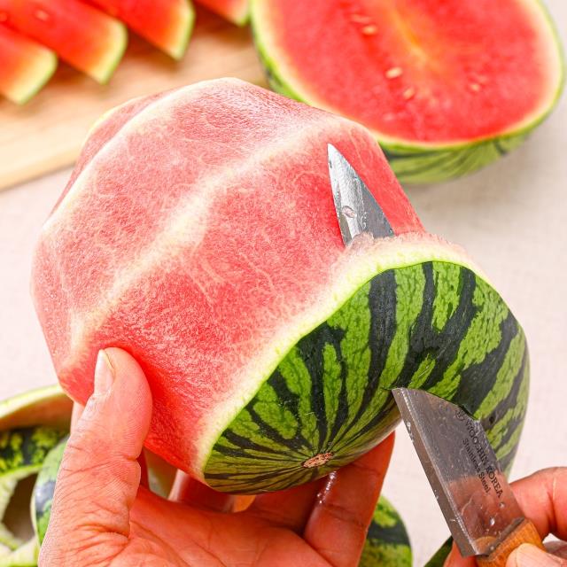 [무료배송] 냉장고에 쏙! 깎아먹는 미니애플수박🍉