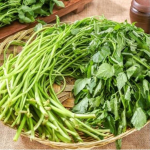 [하루 50단 한정!!] 제철 청도 한재 밭미나리
