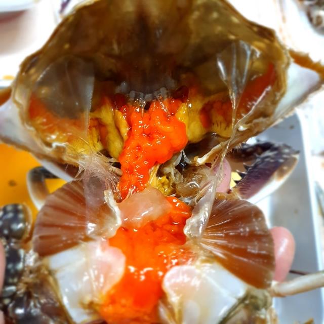 🦀통통하게 살 오른 서해 활 암꽃게 1kg!!🦀