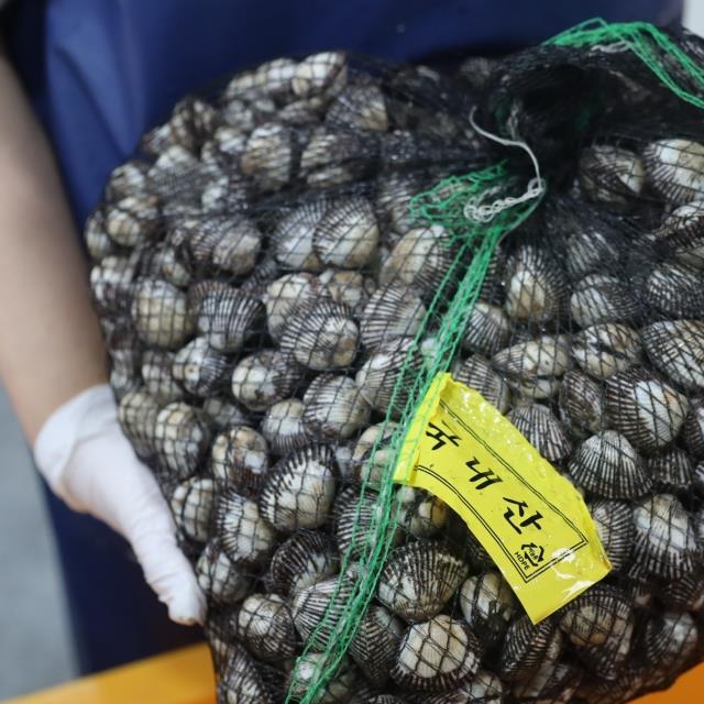 여수 새꼬막 3kg 15,900원 무료배송!