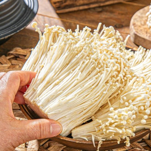 든든한 대용량 ! 팽이버섯 벌크 2kg = 5,700원!