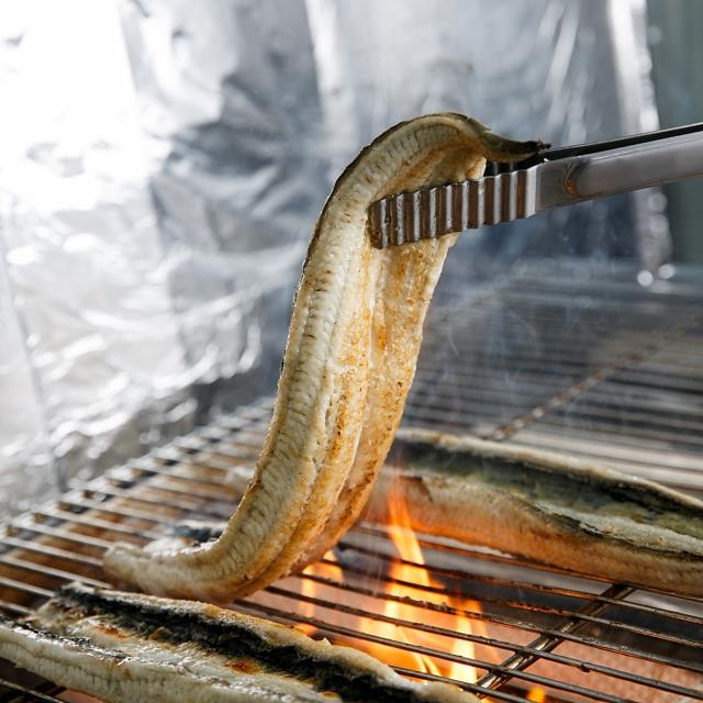 고창 자포니카 민물장어 1kg