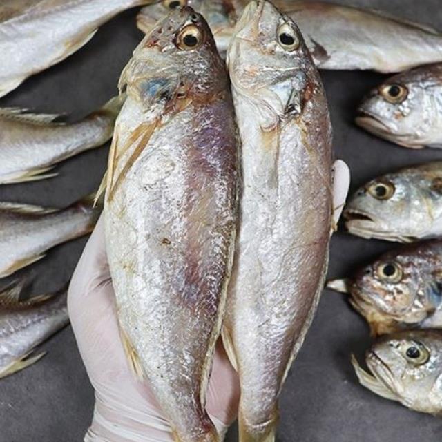 여수 명품 반건조 백굴비(백조기)