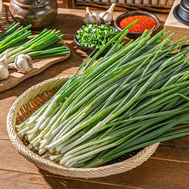 제주 해풍 맞으며 자란 깐쪽파 1kg