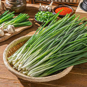 제주 해풍 맞으며 자란 깐쪽파 1kg