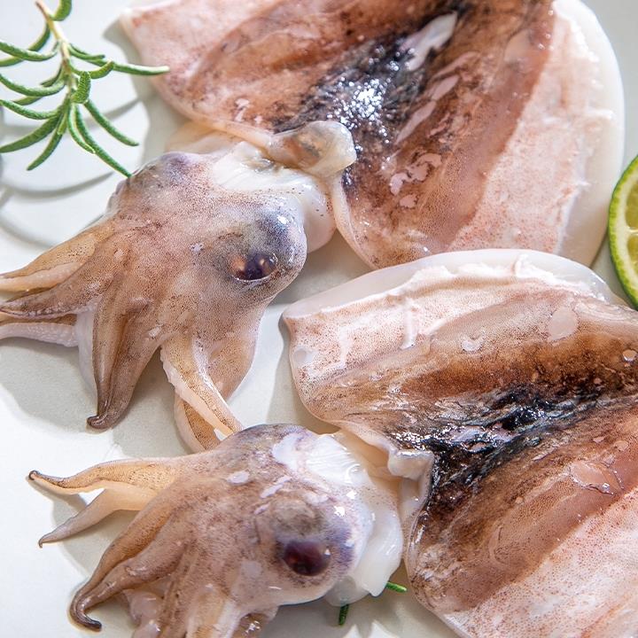 알차다 알차! 손질갑오징어!