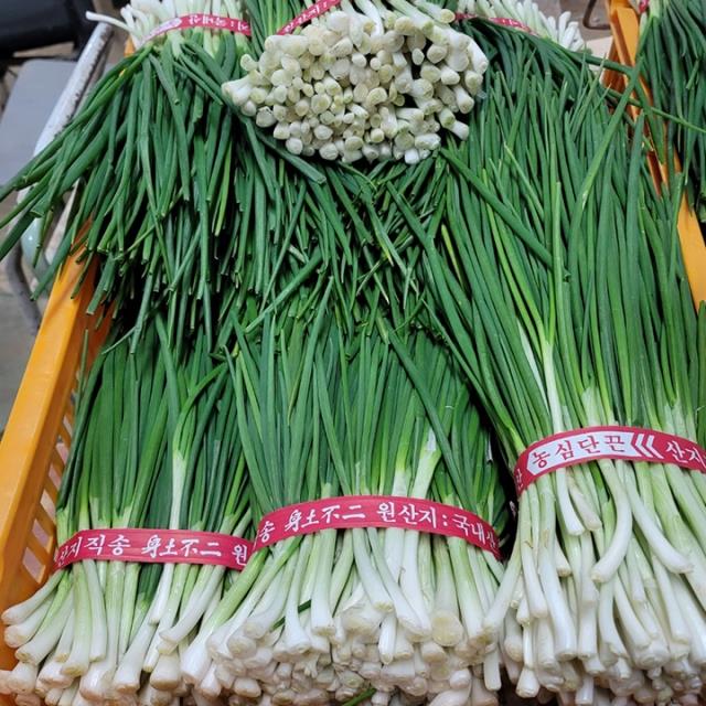 [당일 수확&amp;배송] 국내산 깐쪽파1kg
