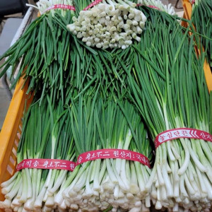 [당일 수확&배송] 국내산 깐쪽파1kg