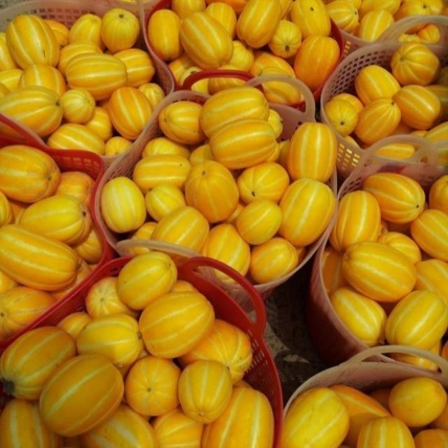 ⚡역대급 특가! 성주참외 3kg 9,500원!