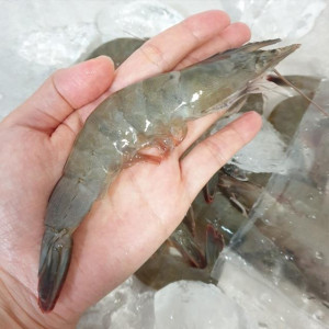 국산 냉동 흰다리새우 1kg!!