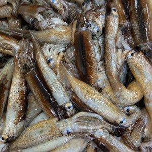 조업 후 급냉! 싱싱한 원양산 오징어 1kg