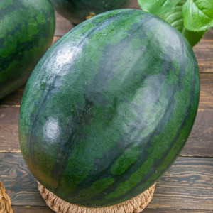 [하루 50통 한정!] 달콤한 흑수박🍉