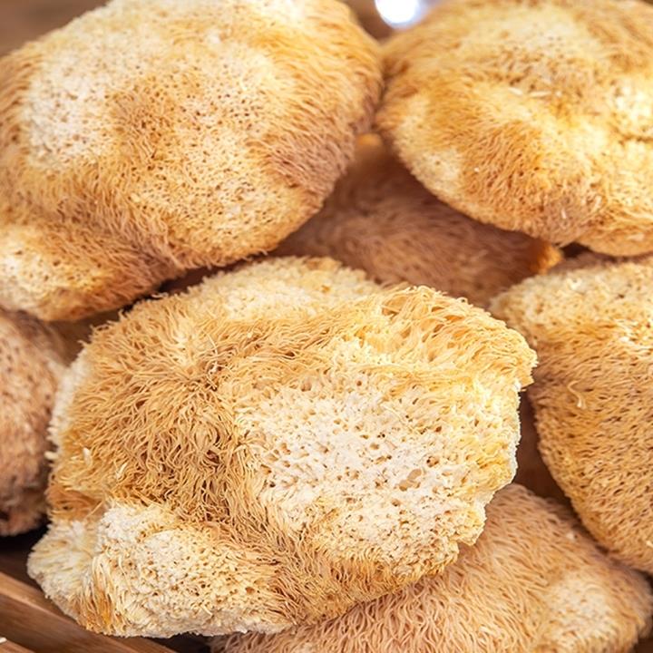 고품격 힐링푸드! 4대 진미 노루궁뎅이 버섯으로 고마움을 전하세요!