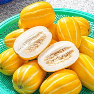 당도 가득! 여름 제철 성주참외 5kg