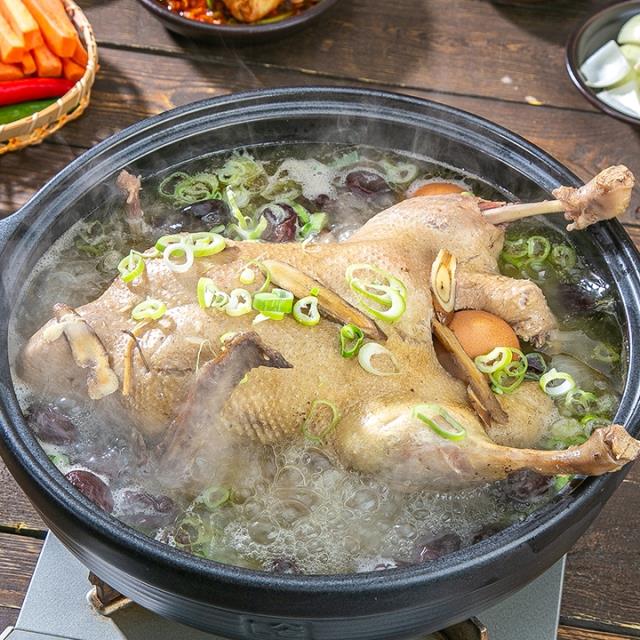 국내산 백숙용 시골 생오리 23호