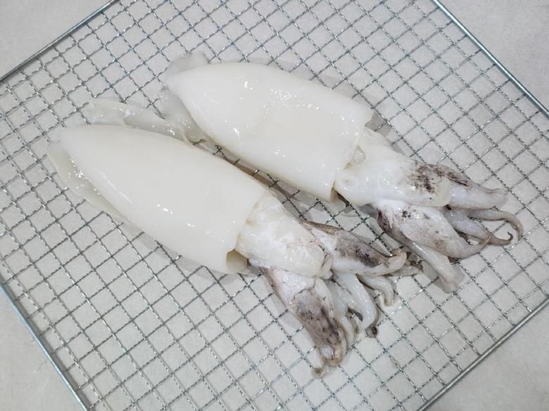손질 통갑오징어 2미 450g