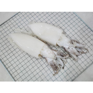 손질 통갑오징어 2미 450g