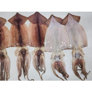 반건조오징어 5미 550g급