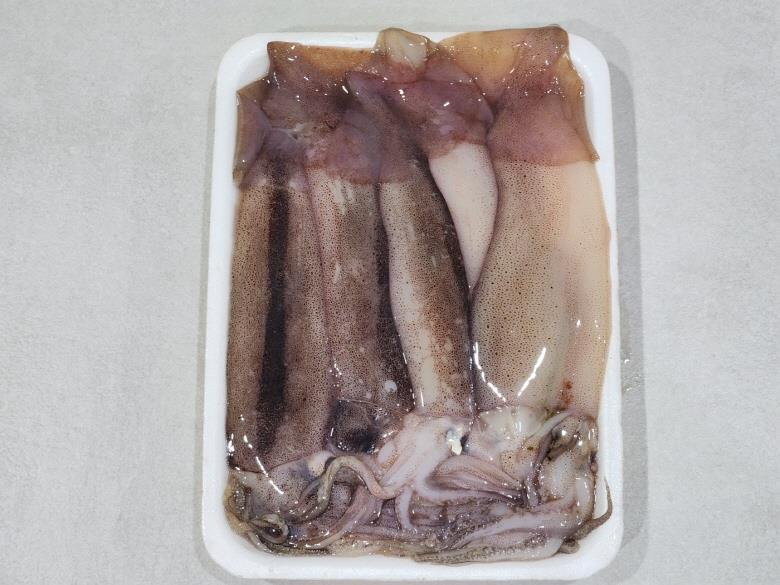 통찜용 오징어 500g