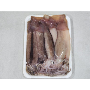 통찜용 오징어 500g