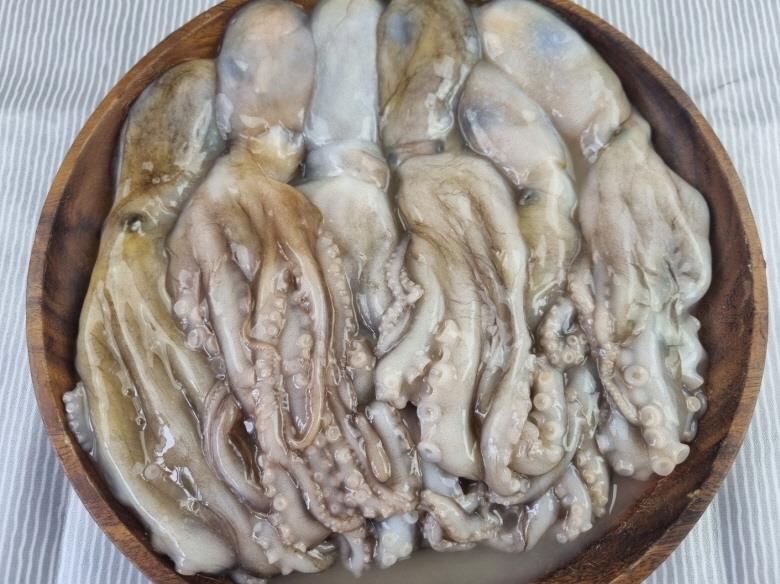 급냉 활 낙지 6미