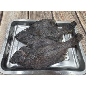 통통 손질 도다리 800g