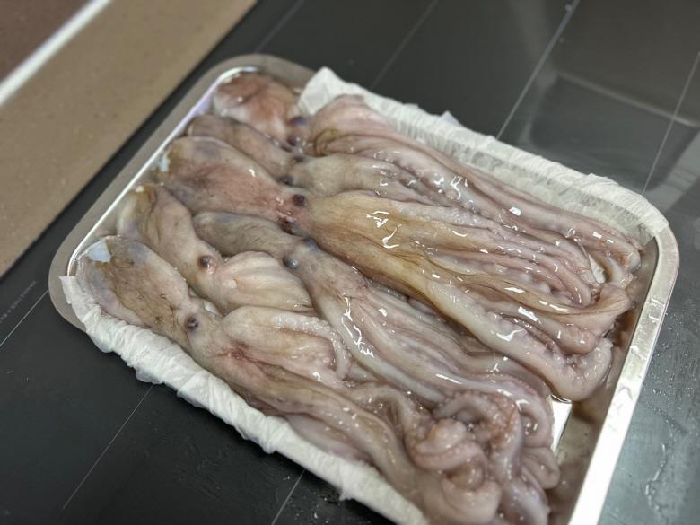 맛상 급냉 낙지 1kg