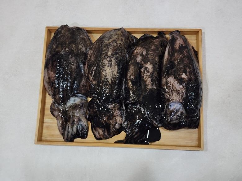 연안 급냉 초대왕갑오징어 2kg