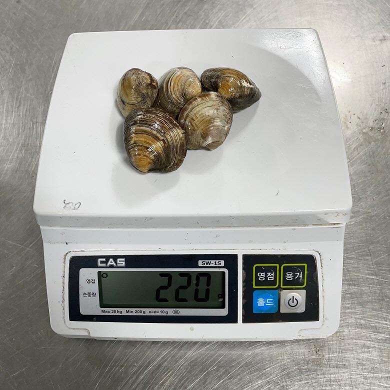 랜덤조개 200g
