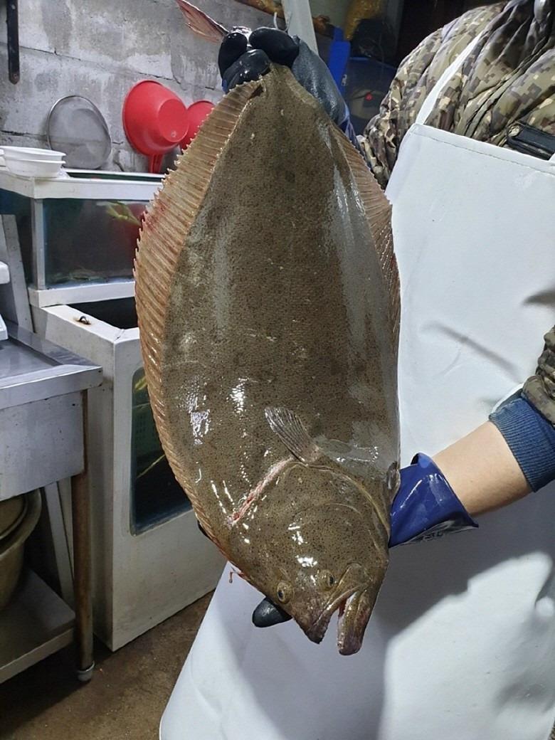 연안 대광어회 200g